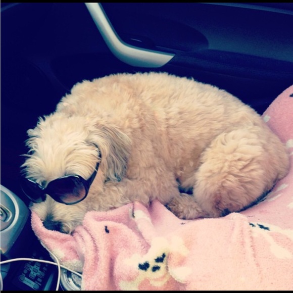 Meet your Posher, Maitlyn - Picture 6 of 13